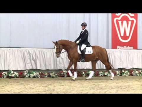 11 Lissarino Wallach v. Lissaro - Federball