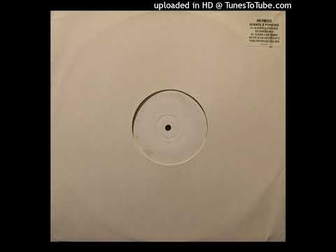 Skymoo - Always & Forever (Felix Da Housecat's Thee Retrolectro Mix)
