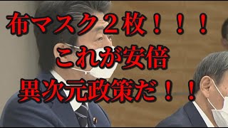 布マスク２枚！！！これが安倍異次元政策だ！！