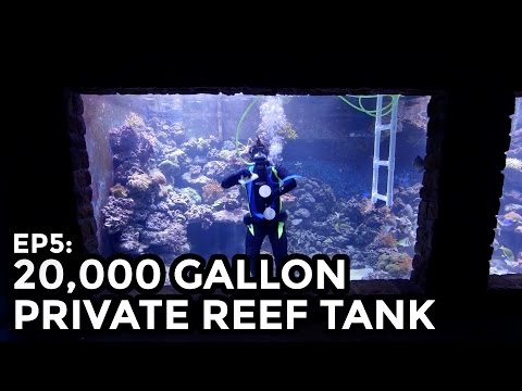 Home 20,000 Gallon Reef Tank, 75,000L - COOLEST THING I'VE EVER MADE: EP5