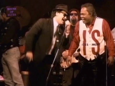 BLUES BROTHERS & FRIENDS : Belushi Birthday Bash 1995