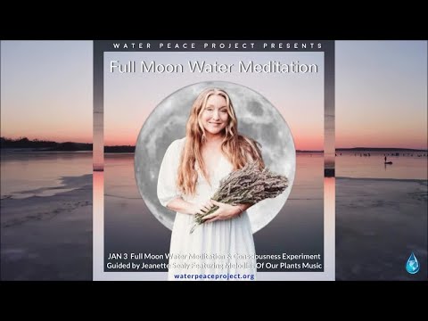 JAN 3  Full Moon Meditation & Collective Consciousness Experiment Guided By Jeanette Sealy