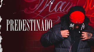 Predestinado Lyrics English Translation