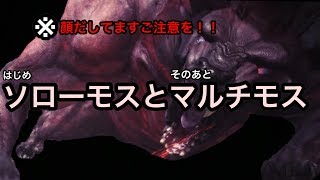 MHW ソローモスとマルチモス