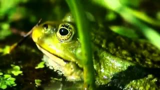 Peter &amp; the Test Tube Babies - September