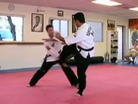 Dohyun International Hapkido - Mr. Christophe Vacher