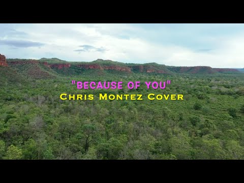 Because Of You - Chris Montez