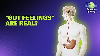 Your microbiome could affect your mood and mental health | Science Quickly Podca