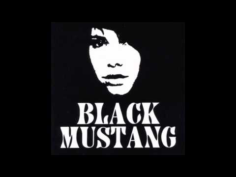 Black Mustang - Little Box
