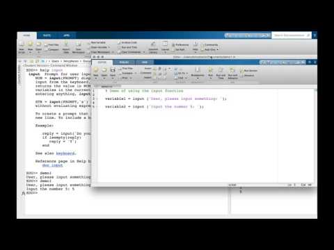 Matlab Input