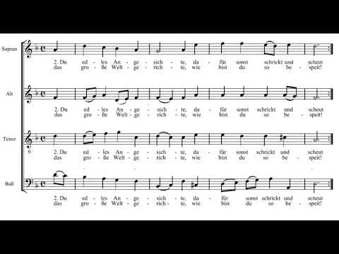 Bach: St. Matthew Passion - 54. O Haupt voll Blut und Wunden - Herreweghe