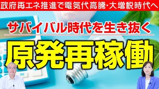 政府の再エネ推進で電気料金は高騰・大増税も。「原発再稼働」と最先端技術「核融合」で日本は復活する。（杉山大志×釈量子）
