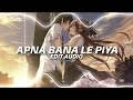 Apna Bana Le Bhediya Edit Audio