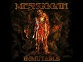 Meshuggah - The Abysmal Eye (Lyrics)