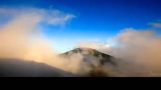 My love has gone away