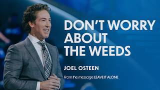 Don't Worry About The Weeds | Joel Osteen