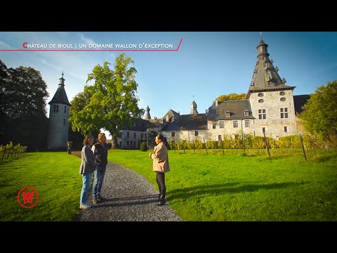 Waldorado visite le Chateau de Bioul !