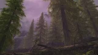 Best Skyrim Graphics Load Order - XBOX 2019 MODS (Those Trees Tho)