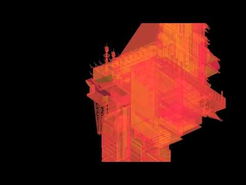 Magpie Jay - Complex