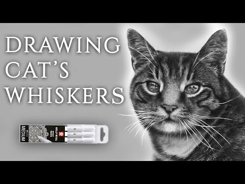 YouTube video about: How to draw cat whiskers on face?