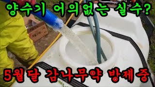 감재배방법 2020년에도 꽃피기전에 5월달약을 방제하였습니다
