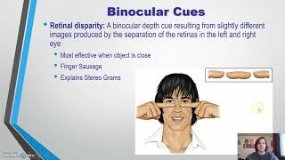 Visual Cues (Monocular and Binocular)
