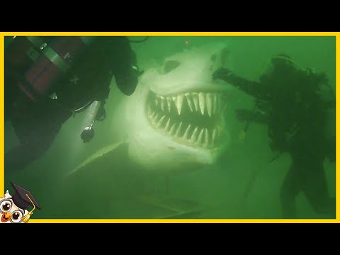 10 gruseligsten Dinge, die von Tauchern gefunden wurden