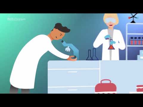 Detection of cell proliferation