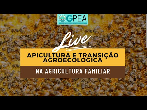 , title : 'Apicultura e transição agroecológica na agricultura familiar'
