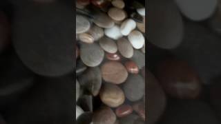 Download lagu ketawa manja mp3