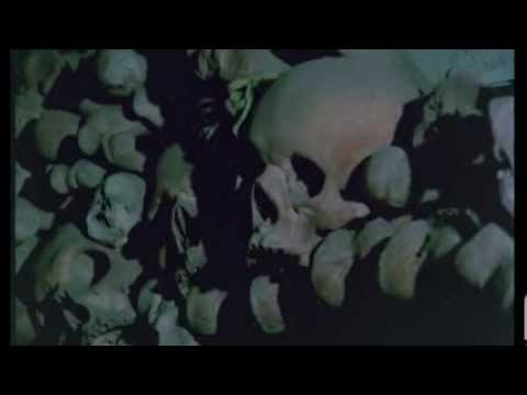 Trailer-Vorschau: Reise ins Jenseits - Die Welt des Übernatürlichen