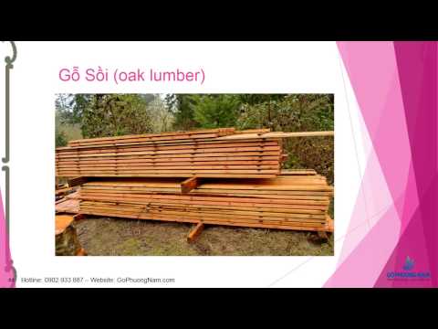 mua gỗ sồi đỏ mỹ Gỗ Phương Nam bán gỗ sồi mỹ hotline: 0902 933 877
