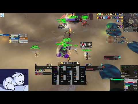 Mythic Skolex - Holy Priest POV
