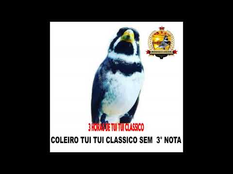 TUI TUI CLASSICO SEM A 3° NOTA BOM PARA ENCARTE