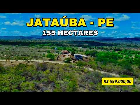 Fazenda Cajazeiras, Jataúba PE, Medindo 155 Hectares, Valor R$ 599.000,00