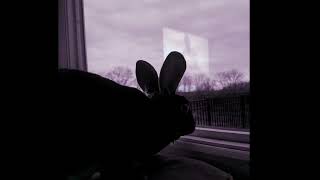 the birthday massacre - pale (slowed)