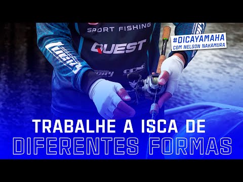 Diferentes formas de trabalhar a ação de isca | Dica Yamaha com Nelson Nakamura