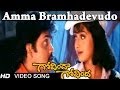 Govinda Govinda Movie Amma Bramhadevudo Video Song Nagarjuna Sridevi