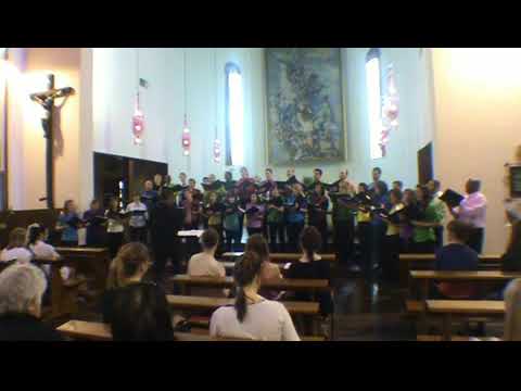  Le College Vocal De Laval    Vytautas Miškinis   Multi dicunt