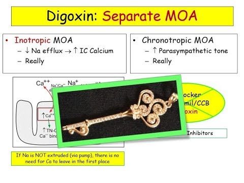 12DaysinMarch, Valvular Heart Disease #3, MS and Atrial Fibrillation for the USMLE Step One Exam