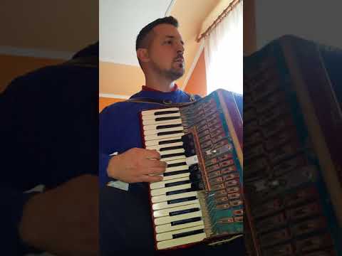 Aca Mozart- Deo kola- Borko Radivojević i Tigrovi