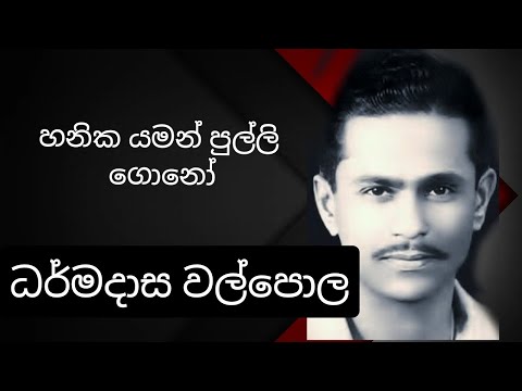 Hanika Yaman Pulli Gono - DHARMADASA WALPOLA