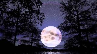 Brandon Williams - Silent Night (feat. Allyn Johnson)