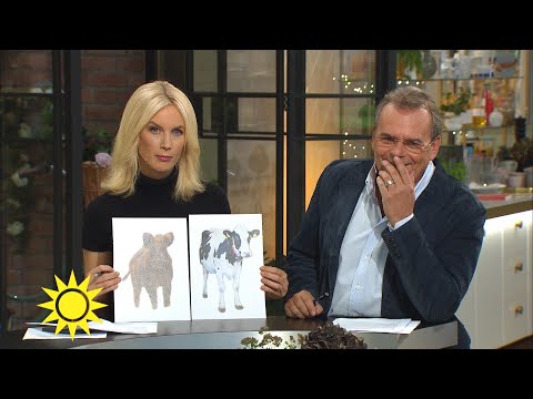 Steffo: ”Att inte se skillnad på en ko och ett vildsvin..." - Nyhetsmorgon (TV4)