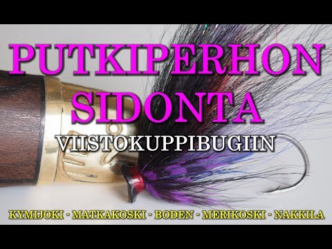 Putkiperhon Sidonta - Ketunkarva putki ViistoKuppiBugiin (Tube Fly - Fliegen - Tubeflue - Tubfluga)