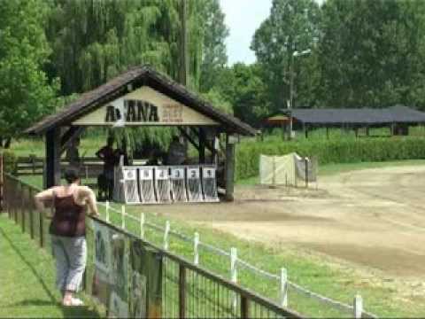 Cseh Derby - Döntő - 5. futam  (2013. 07. 07., Rábapatona, Agárverseny)