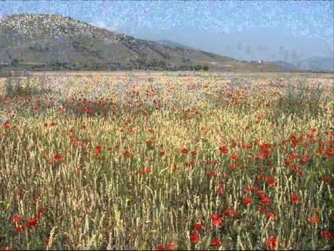 Костадинка Палазова - Црна се чума / Kostadinka Palazova - Crna se cuma