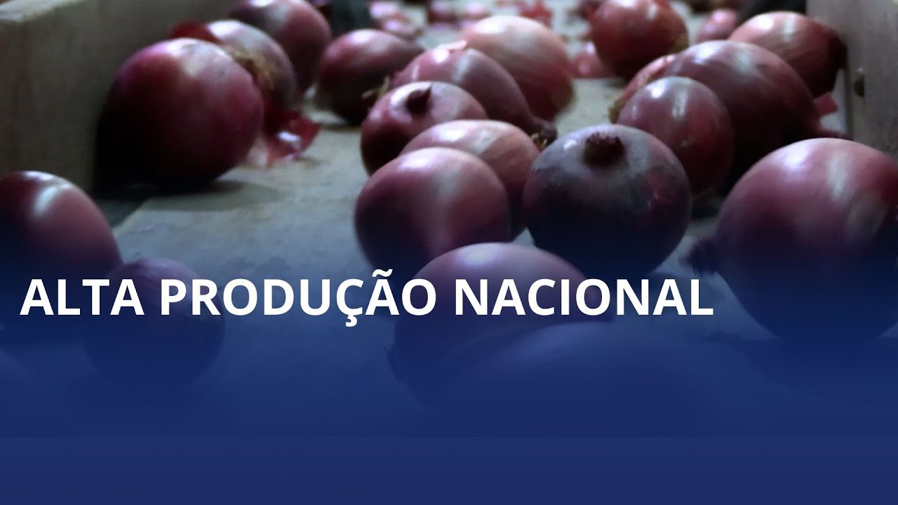 Brasil volta a zerar a importação de cebola