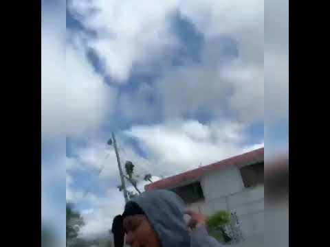 Mixtawoo x La Burlona - Thotiana