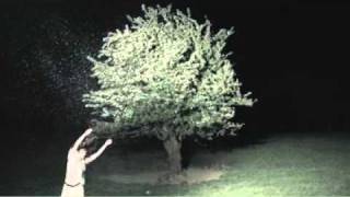 Day For Night - Vanessa Bruno